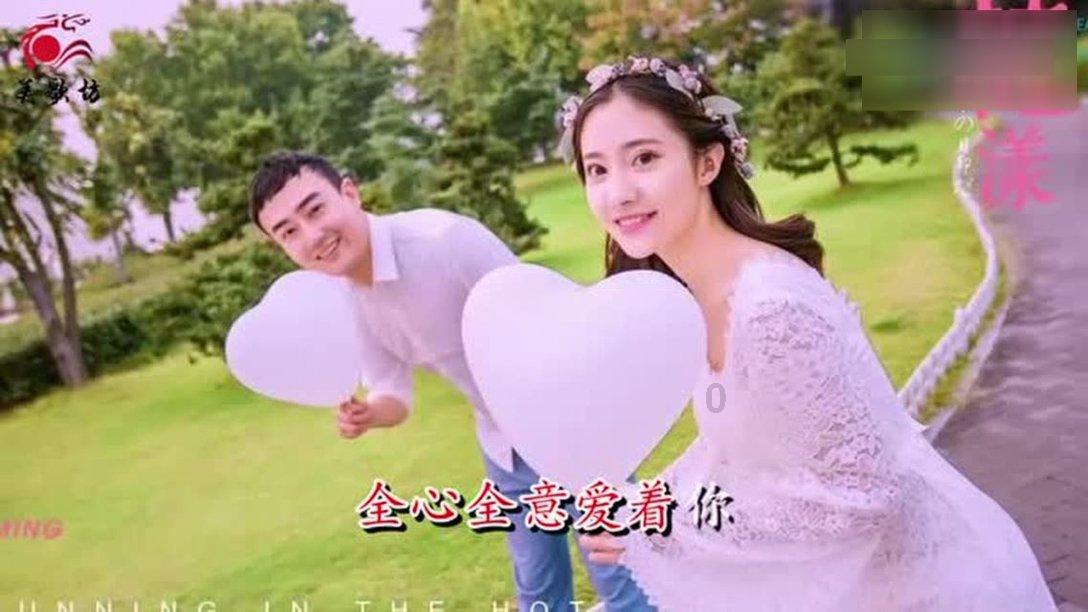 救援受困的长颈鹿